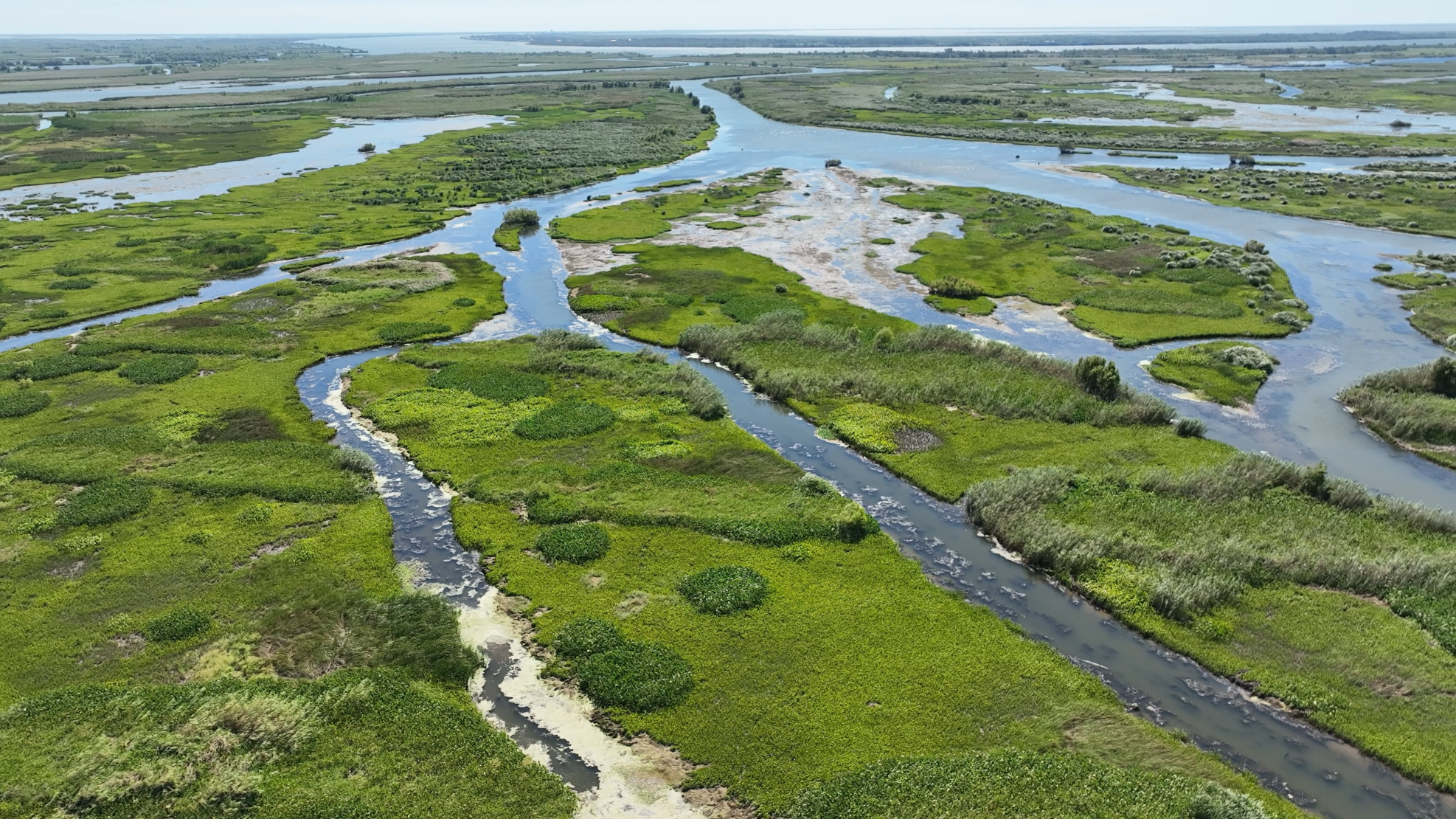 Our Changing Delta Virtual Tour